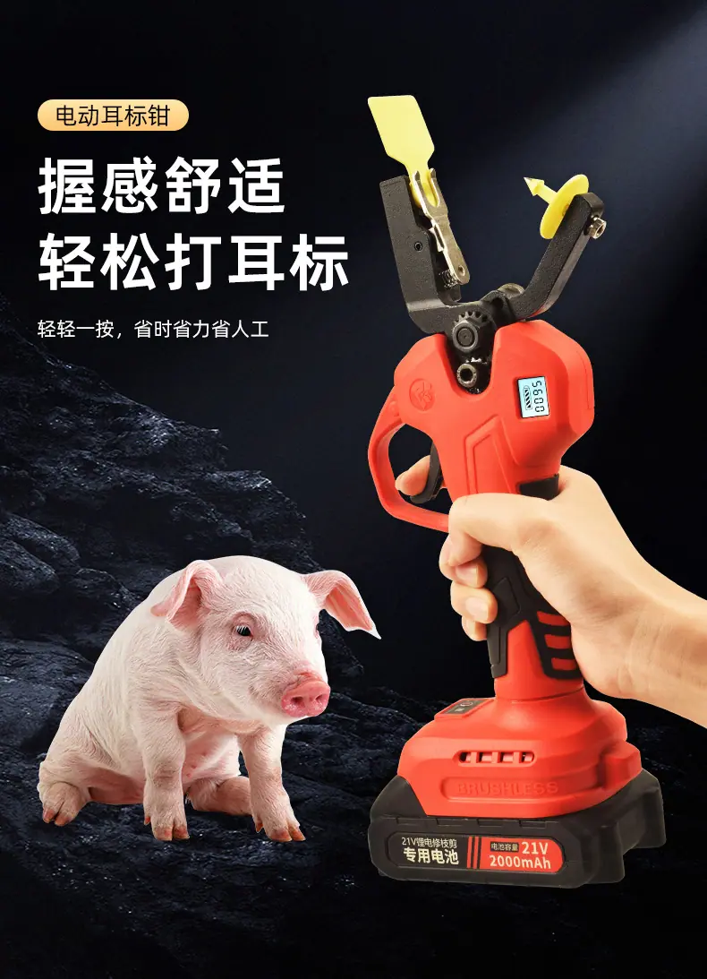 详情3333_06.jpg