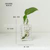 Vaso de Vidro Transparente Pequeno Boca Estreita Arranjo de Flores Flores Secas Aromaterapia Mesa Sala de Estar Decoração de Casa Nórdico Vaso de Vidro
