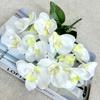 Nuevo Tacto Tela de Serigrafía Pétalos Hojas Flores Artificiales Pequeñas 5 Puntas de Serigrafía Phalaenopsis Flores Artificiales Venta Directa de Fábrica al por Mayor