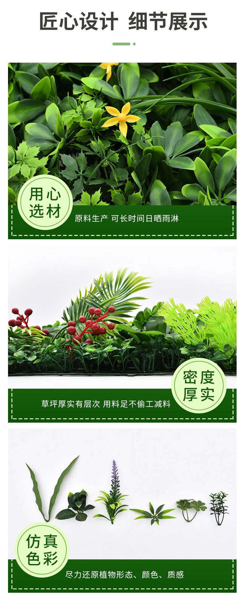 植物墙_07