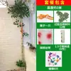 Flor de bambú mimbre envoltorio decoración bajante plantas corteza de árbol calefacción aire acondicionado cubiertas de tuberías de gas pilares