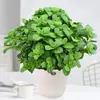 Hortelã em Vaso Grande Planta Comestível de Interior Flor Sala de Estar Varanda Repelente de Mosquitos Planta Verde de Mesa Fácil de Cuidar Todas as Estações