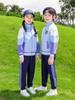 Uniformes de Jardín de Niños 2025 Primavera y Otoño Deportivos para Niños Estilo Universitario Uniformes de Clase Uniformes de Primaria y Secundaria de Primer Grado Set