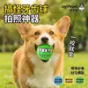 Pelota Dental Multicolor, Pelota de Vinilo para Juguete de Mascota con Masaje Elevado y Características de Sonido, Juguete Duradero para Masticar para Perros para Aliviar el Aburrimiento
