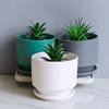 Vaso de Cerâmica Simples Transfronteiriço para Flores Suculentas com Prato Criativo Nórdico Simples para Casa Recipiente de Vaso para Plantas Verdes