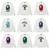 Sudadera camuflaje de moda transfronteriza para hombre, otoño e invierno, manga larga, estampado de letras, holgada, cuello redondo, jersey, sudadera casual