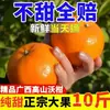 Auténticas Mandarinas Azucaradas Frescas Wogan de Guangxi 5kg, Naranjas Imperiales, Naranjas Miel Azucaradas, Caja Entera de Temporada Frutas Grandes