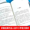 Prosa Selecionada por Ding Limei Coleção de Prosa Contemporânea de Mestres por Zhu Ziqing, Bing Xin, Ji Xianlin, Wang Zengqi, Lao She Livros Autênticos