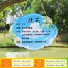 Parque Jardín Protección de Flores y Plantas Etiquetas Fijas de Acrílico para Árboles Placas de Nombres para Árboles Frutales Señalización de Introducción de Árboles Señales de Advertencia