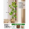Forma de Hoja de Flor Árbol de Caucho Baniano Dorado Sala de Estar Planta Verde Baniano Rico Interior Oficina Planta Verde Planta Grande en Maceta