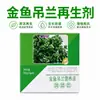 Revitalizando Plantas Cauda de Peixe Dourada, Promovendo o Crescimento de Flores e Folhas, um Ótimo Auxiliar para Jardinagem Doméstica