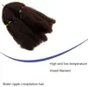 Comercio Exterior Transfronterizo Pelucas Europeas, Americanas y Africanas de Fibra Sintética de Fábricas de Origen, Cabello para Crochet, Fibra de Baja Temperatura Estilo Oruga Grande, De Venta Caliente