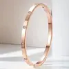 Pulseras Europeas y Americanas de Acero Inoxidable para Mujer, Gama Alta, Nicho, Acero de Titanio Antidesvanecible Pulseras Cielo Estrellado, Venta al por Mayor de Joyería