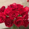 Rosa Vermelha Corolla 520 Dia dos Namorados Flores Frescas Atacado Yunnan Kunming Flores Frescas Atacado Direto Barraca de Rua Compra em Grupo