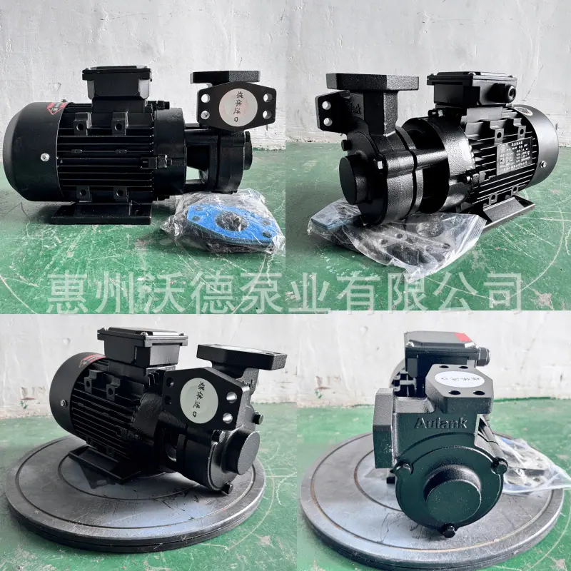 WM-20高温泵10