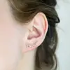 Pendientes de Letra Inglesa S925 Moda Elegante Uña Pendientes Transfronterizos Ins Nombre Acero Inoxidable Tremella Venta Caliente