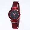 Venta al por mayor de fábrica trémolo explosión imán perezoso Reloj transfronterizo caliente malla magnética con red Reloj Estrella Roja Mujer