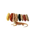 Areia de Cálcio para Répteis em estoque para atacado: grânulos finos para lagartos dragão-barbudos e geckos pigmeus, criando uma paisagem desértica natural