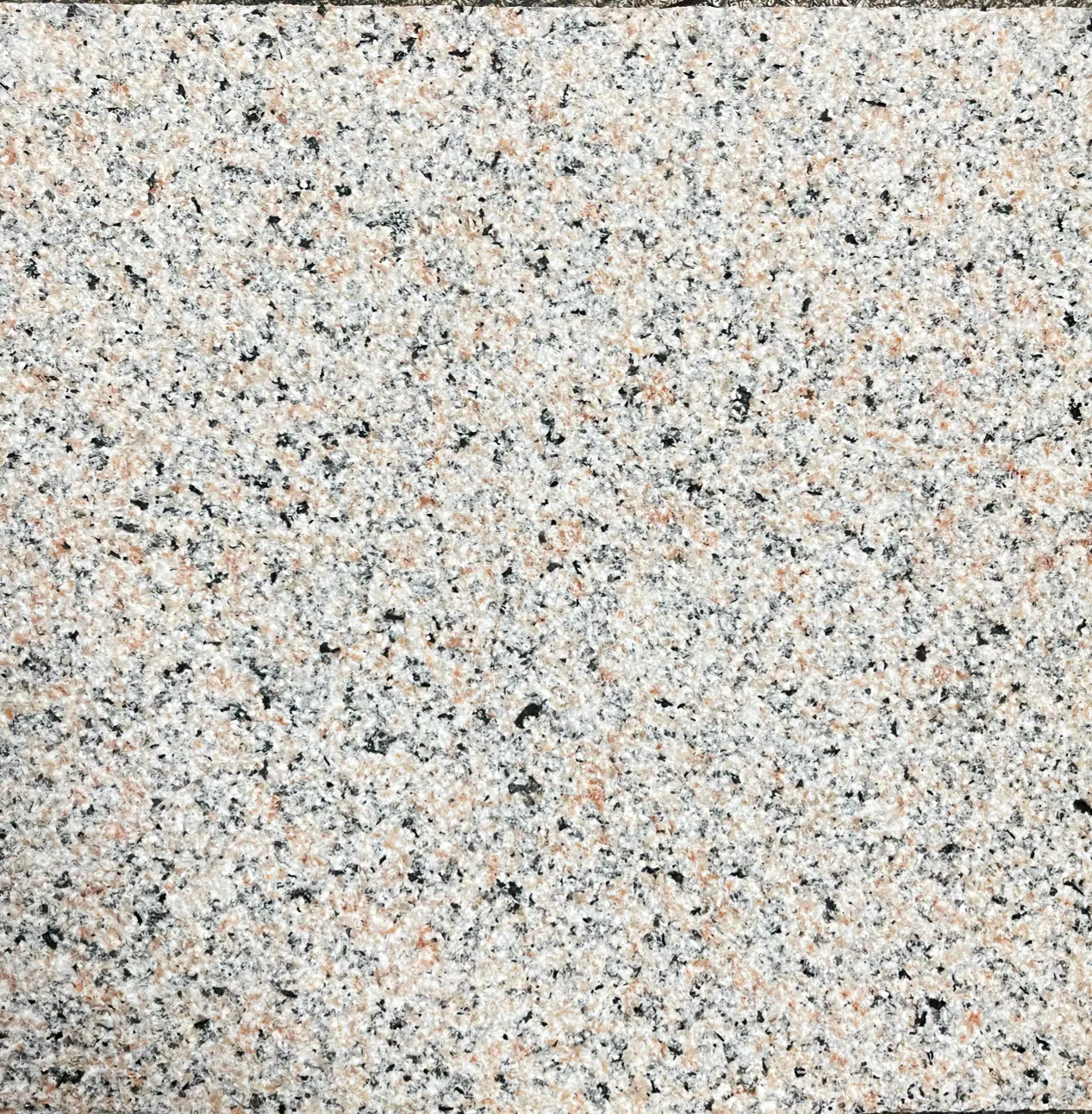 78.jpg