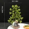 Hotel Sashimi Mariscos Moriawase Decoración de Presentación Flores Plantas Plato Creativo Adorno Pino Decoración de Plato Pequeños Adornos Decoraciones