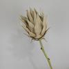 Série de flores secas imperiais de simulação de alta qualidade decoração europeia para fotografia casamento decoração de casa planta flores artificiais