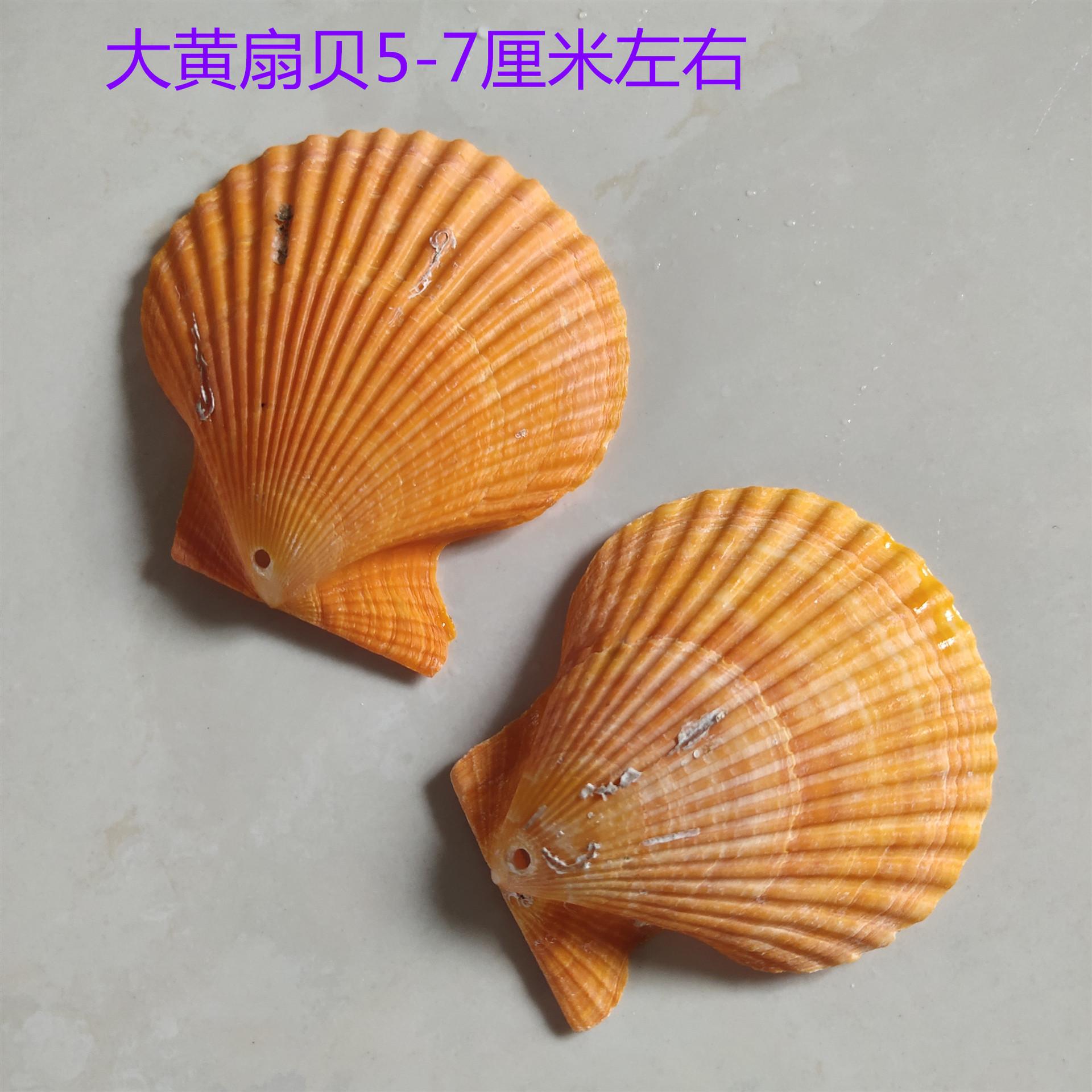 IMG_20200129_125422_副本