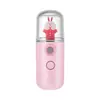 Instrumento Hidratante en Spray Humidificador Facial Mini Portátil Recargable de Mano Pulverizador de Agua Desinfectante Instrumento de Belleza Vaporizador Facial