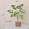 Planta Verde Hoja de Tortuga Hoja Colorida Taro Pothos Pasto Falso Planta Pequeña en Maceta Accesorios de Pared Hoja de Manzana Melón Cantalupo Flor Artificial