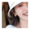 Aretes de Ala de Pájaro Desplegada Plata Aguja Retro Sensación de Alta Gama Pendientes de Lóbulo Pendientes de Moda Nicho Diseño Sensible Pendientes para Mujer