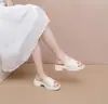 Pantuflas de Plástico con Suela de Aire Transpirables de Cuña y Suela Gruesa para Mujer, Sandalias de Moda con Suela Suave para Interiores y Exteriores, Pantuflas para Mamá