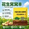 Nido de cacahuete nido abundante promueve la floración promueve el cuajado de semillas granos llenos cacahuete bebé fertilizante foliar