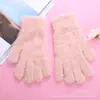 Fabricantes lidian con guantes cálidos de pelo de imitación de visón de invierno transfronterizos para damas, de equitación, a prueba de frío, moda larga, versátiles
