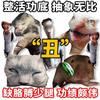 Gato payaso límite transfronterizo fábrica directa a mapa personalizado diy foto alienígena mascota almohada gato perro muñeco