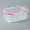 Cesta Pequeña de Plástico para Frutas de Volta Desechable Cesta Comercial para Frutas Cesta de Mano para Recoger Fresas Cesta Cuadrada para Recoger