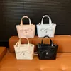 Bolso tipo cubo de moda de diseño minimalista de nicho estilo coreano transfronterizo, nuevo bolso de hombro y bandolera para mujer Primavera 2026