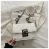 Tendencia de textura de moda transfronteriza cadena casual elegante a la moda lujo ligero bolso cuadrado pequeño para mujer bolso cruzado de alta gama para el trabajo