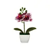 Mini 3 orquídeas artificiales Phalaenopsis en macetas aterciopeladas, suministro de exportación directa, flores artificiales de tacto realista, bonsái, accesorios para fotografía