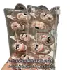 Cinta correctora de gel de gato lindo Ins Estética de alto valor Cinta correctora para estudiantes Transparente Portátil Corrección
