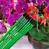 Haste de Suporte para Orquídea Phalaenopsis, Estrutura para Moldar, Clipe para Galho de Flor de Jardinagem, Clipe de Fixação para Planta Trepadeira