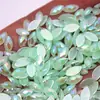 Rhinestones Acrílicos Cor Ab Olho de Cavalo 4*8mm com Fundo Plano para Decoração de Joias, Maquiagem Facial, Adesivos de Sobrancelha, Materiais DIY