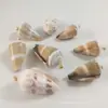 Broche Estilo Pin de Concha de Caracol y Caracola Natural Dorado y Blanco Color K Colgante DIY Collar Pendientes Adorno para Botella de Perfume Botella de Maquillaje