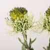 Flores Bordadas com Agulha Artificial Transfronteiriças para Decoração de Casa, Decoração de Casamento, Enfeites de Flores Artificiais de Plástico, Flores Bordadas com Agulha Solar, Flores Artificiais
