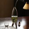 Botella de burbujas frías de vidrio de borosilicato alto, tetera para té verde, botella de vino sellada, contenedor hidropónico multifuncional para el hogar, jarrón para insertar flores