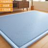 2025 Nuevo Estilo Esterilla de Piso para Dormir y Artefacto de Suelo Colchoneta Tatami Colchoneta para Siesta Esterilla para el Hogar Esterilla de Ratán