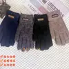 Guantes de Punto Elásticos de Doble Capa a Prueba de Frío para Hombre Extra Grandes Engrosados de Lana Cálidos para Exteriores Guantes de Montar Venta al por Mayor Transfronteriza