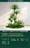 Plantas Verdes Simuladas, Paisagismo Interno em Larga Escala, Combinações de Paisagismo Externo, Decorações de Vitrine de Luxo Leve de Alta Qualidade, Plantas Artificiais em Vasos de Chão