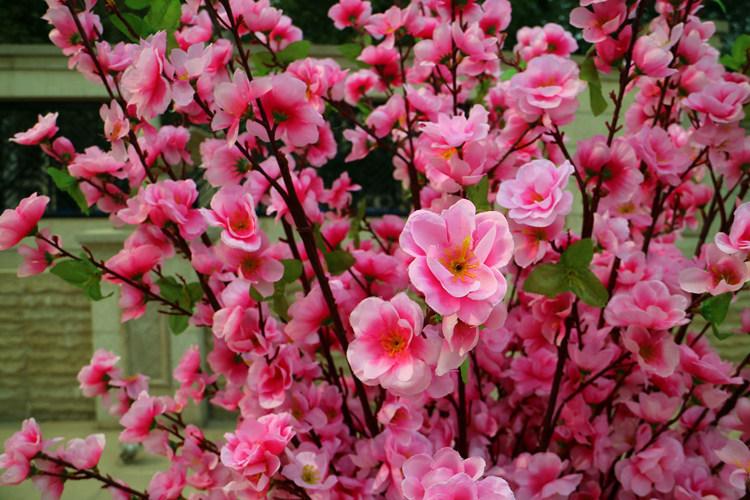 桃花枝