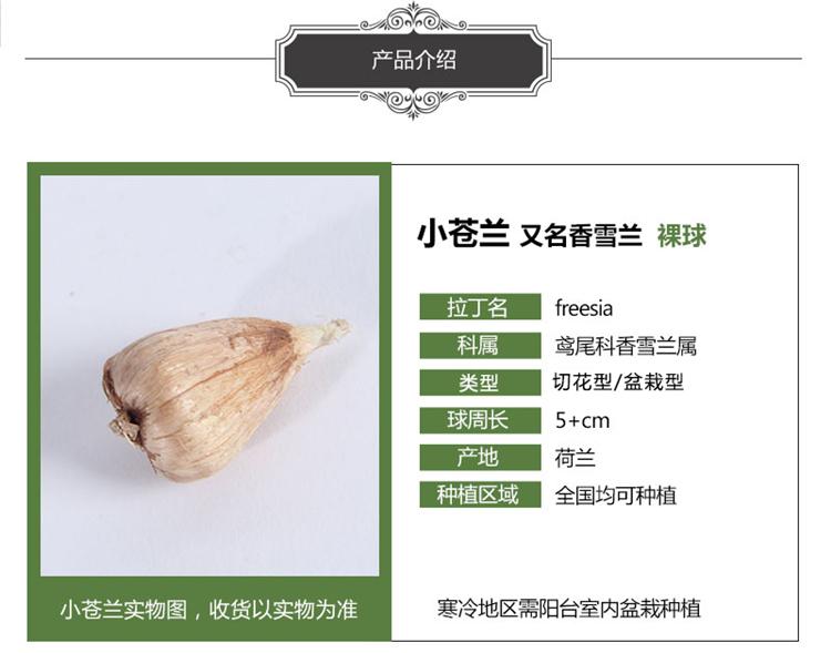 gm6Uj/OnzNRHr0wTH1HhyaWHf4T67lnT6tla