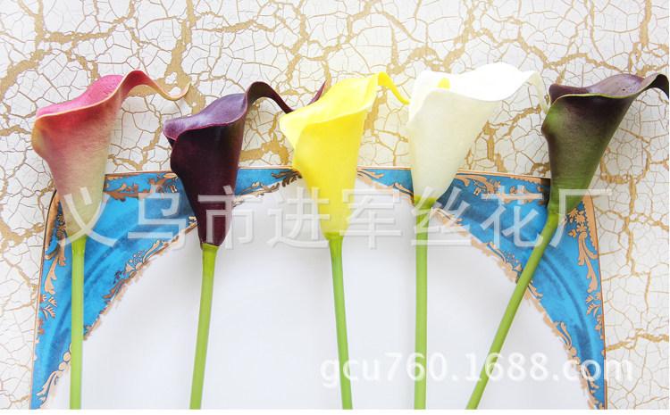 小马蹄11