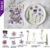 33 Piezas de Combinación con Relieve, Se Pueden Usar para Calcomanías Hechas a Mano, Fundas de Teléfono Secadas con Pegamento, Velas de Aromaterapia, Producción Creativa de Flores, Decoración del Hogar, Regalos de Acción de Gracias y Navidad